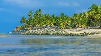 How Telemetry Technology Scans Sundarbans Shorelines To Predict Severe Tidal Flooding Events