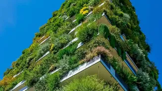 How The Low-Water Gardening Shift Changes The Case For Designing Gardens For Lower Water Demand