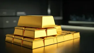 Top Performing PMS Portfolios: 2025's Investment Winners