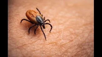 This disease with high mortality rate finally has a cure