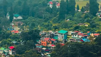 Kodaikanal and Ooty Suit Travellers Seeking Misty Monsoon Mornings