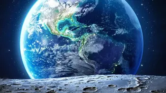 The Moon's South Pole Holds Potential Refuges for Microbes Carried by Humans