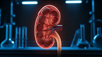 Water Fasting Dangers: Expert Warns Against DIY Detox and Weight Loss Trends