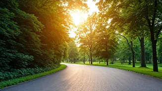 Walking After Meals: A Simple Guide for Blood Sugar Control