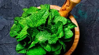 Remove Tough Mint Stems Before Blending a Smoother Chutney