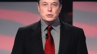 Elon Musk's Suggestion To Feed Credit Card Snapshots To Grok AI Triggers Major Warning