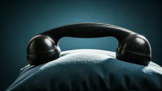 Unveiling the Intriguing World of Nocturnal Conversations