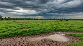 Rains Push Into Central India Amid Below-Normal Monsoon Forecast