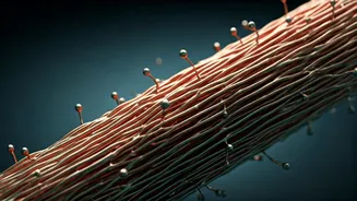 Nanowire Batteries: A Cheaper, Safer Power Future?