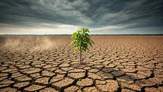 Why This Monsoon Forecast Deserves Attention