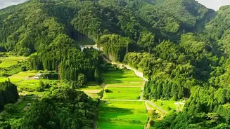 Ziro Valley workation: A complete guide