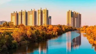 India's NRI Property Market: What Local Buyers Should Watch Before Purchasing