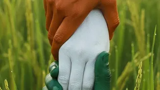 Beyond Rice and Wheat: Exploring India's Many Traditional Grains