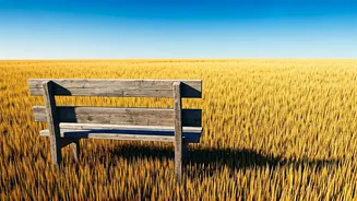 Loneliness vs. Solitude: Discover the Difference!