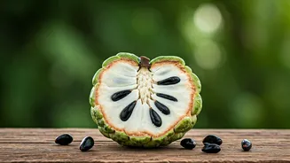 Why Indian Regional Markets Trigger Custard Apple Trends