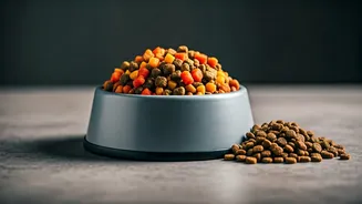 The Pet Food Shift: Custom Vet-Approved Meals Over Kibble