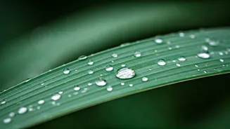 Simple Monsoon Tricks Doctors Often Recommend