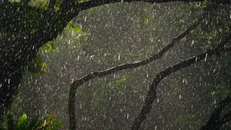 Monsoon Travel Checklist: Weather Information To Check Before You Leave