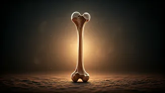 Forge Unbreakable Bones Before 40: Your Blueprint for Lifetime Skeletal Strength