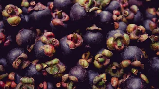 Beyond mango: jamun, phalsa and ice apple becoming summer favourites again
