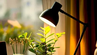 Task Lights Can Fill Gaps without Overbrightening the Whole Room