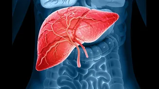 Hepatologistas citam o que os suplementos de cúrcuma causam ao fígado