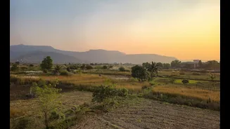 Understanding Rainwater Harvesting Tanks in India