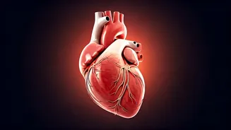 Heart Health: Avoid These 4 Things After 30