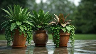 Monsoon Pot Gardening Is Easier Than You Think