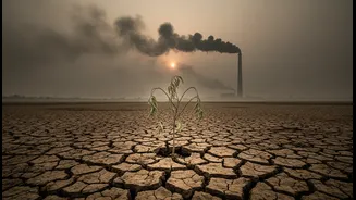 The Latest Developments around State of India's Environment 2026: A Practical Indian Decode