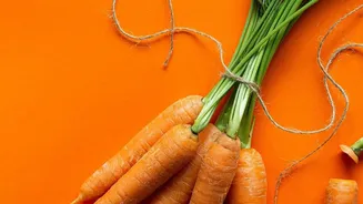 Beta-Carotene in Orange Carrots in the Carrots Versus Spinach Nutrition Story