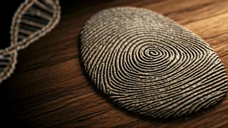 Fingerprints: More Than Just Your Signature? Unveiling Their Surprising Evolutionary Purpose