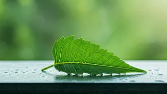 Switch To Neem Soaps Right Now For Flawless Monsoon Skin