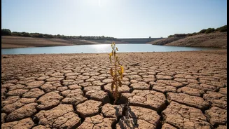 How Goa's Weak Monsoon Spell Can Turn Rain Deficits into a Daily Issue