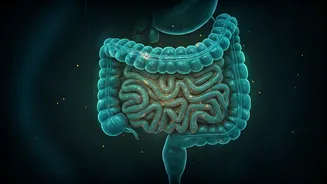 The Tiny Change Your Gut Will Thank You For