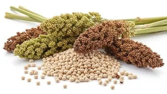 Sorghum: Nutrition, culinary uses, and more