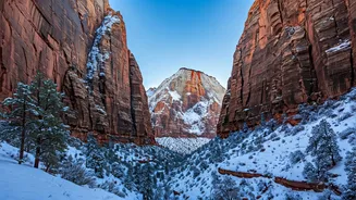 Zion National Park: A Winter Wonderland Unveiled