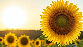 Nurturing Little Stars: 5 Essential Ways to Boost Your Child's Confidence