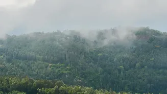Monsoon Travel Data Gives Wayanad a Clear Lead in Hotel Growth