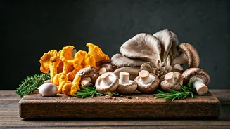 Six Delicious Mushroom Recipes To Try Now!