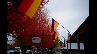Indian YouTuber Visits German Village, Shares Heartwarming Experience