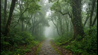 Rain Lovers, These Delhi Escapes Deserve Your Attention