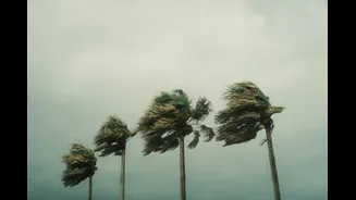 Strong Surface Winds and Fishermen Warnings Issued for Arabian Sea and Coastal Regions