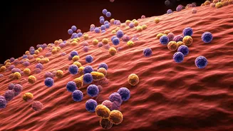 Why monsoon causes gut issues