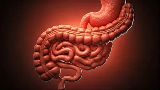 Gut Health Alert: 5 Popular Indian Breakfasts to Rethink