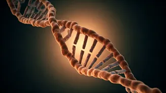 Ancient DNA: The Secret to Longevity