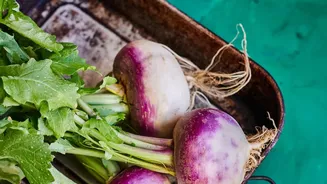 Upgrade Your Daily Menu With 5 Root Vegetables That Add Great Flavour