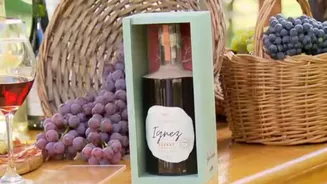 Vinhos soterrados por enchentes no RS tornam-se símbolo de retomada e resiliência na Serra Gaúcha
