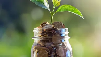 ₹10,000 Monthly Investment: Should You Choose EPF Or NPS For Retirement
