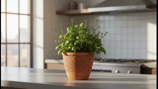 Why Rajasthan artisans collaborate on terracotta cookware updates for modern city living spaces